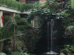 -白天鹅宾馆·流浮阁咖啡厅