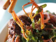 凉拌马齿苋-代木儿回锅肉