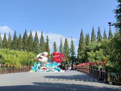 -黄海国家森林公园