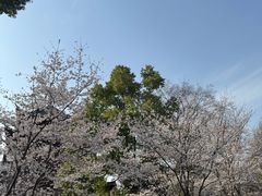 -堤角公园