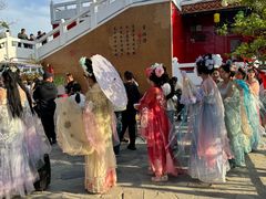 -曹州牡丹园