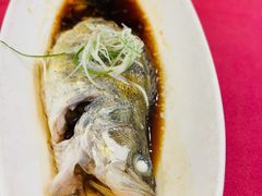 -十八棵（老龙井）御茶园(老龙井店)