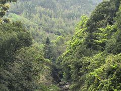 -初溪土楼群