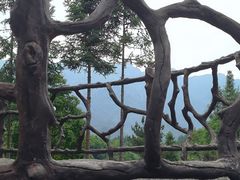 -梭布垭石林景区