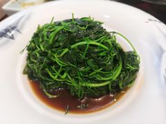 酒香金花茶-椿不老