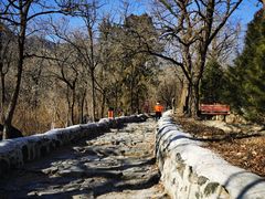 -阳台山自然风景区