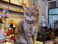 -MIMO CAFE(沙头角店)