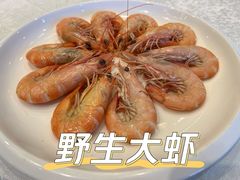 -欢乐海岸美食联盟