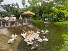 -深圳野生动物园