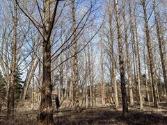 -国家植物园南园