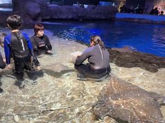 -瑞普利水族馆