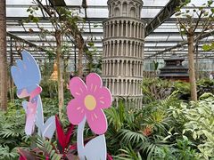 -南宫五洲植物乐园