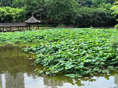 -龙头寺公园
