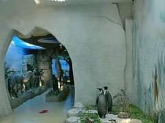 -西霞口神雕山野生动物世界