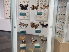 -陕西自然博物馆