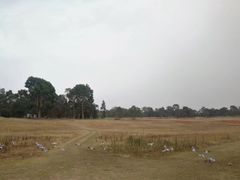 -伯利·格里芬湖