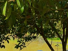 -幕燕滨江·长江观音景区