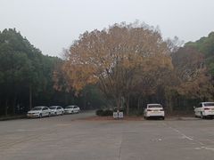 -胜华驾校·小猫学车(银都店)