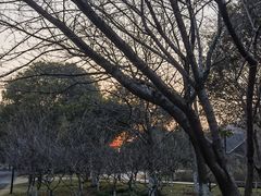 -中国美术学院象山校区-民艺博物馆