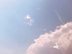 -新浪总部大厦