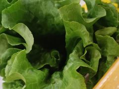 -大四喜·鲜牛肉火锅(洛阳大学城店)