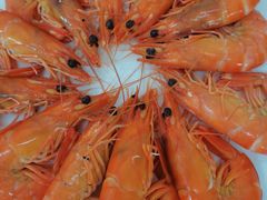 白灼基围虾-锦粤宫·精致粤菜(深圳北站店)