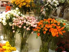 -花屿鲜花(淡水店)