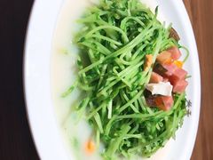 -首秀·四川料理(星耀101店)