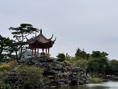 -顺峰山公园