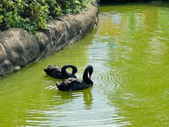-海合安武汉极地海洋公园