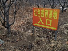 -第五季龙水凤港生态露营农场