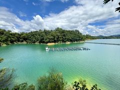 -广州市流溪河国家森林公园