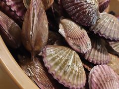 -龍歌自助小火锅(市南金茂湾店)
