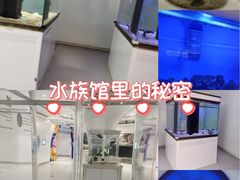 -萌宠奇缘(荣鼎店)