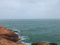 -广东惠东海龟国家级自然保护区