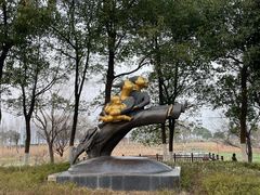 -洋湖国家湿地公园