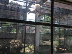 -昆明动物园