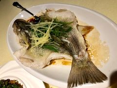-龙记烧腊茶餐厅(常德路店)
