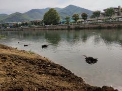 -杭州双溪漂流景区