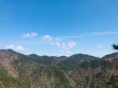-四明山国家森林公园