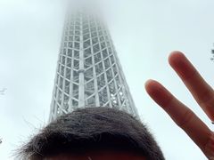 -台场海滨公园船码头