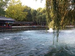 -百脉泉景区