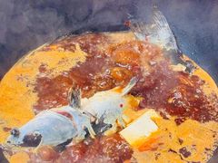 -大鹅岛灶台鱼·铁锅炖(水库路店)