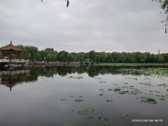 -长春市南湖公园