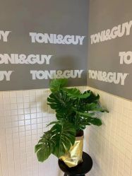 -TONI&GUY
