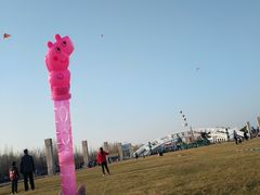 -石家庄市植物园