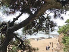-青岛第二海水浴场