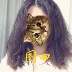 -SIX Hair Consultant