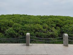 -深圳湾公园(南山区)