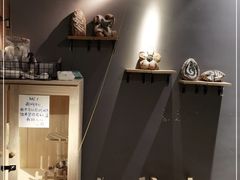 -天井·丑面包搭咖啡